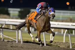 Fire and Wine, Magical Factor top 83 nominated for Canadian Triple Crown
