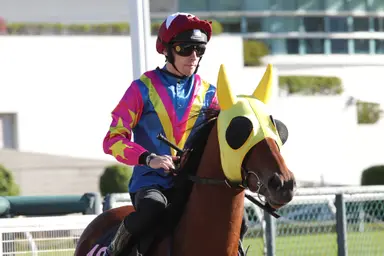 French racing’s rising star Alexis Pouchin prepares for first Hong Kong meeting