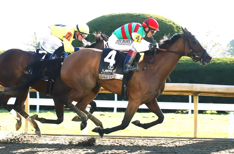 Vahva ovetakes Alva Starr in Raven Run at KEE Oct 21 2023
