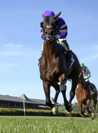 Relishing added ground, Tawny Port gets long-awaited win in Belmont Gold Cup