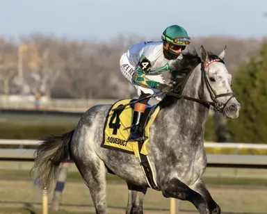 Crazy Mason opts for Commonwealth as path to Grade 1