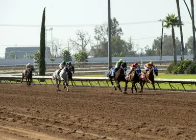 Same stakes on tap for upcoming Los Alamitos meet