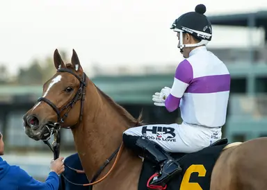 Deep fields for all-turf pick three