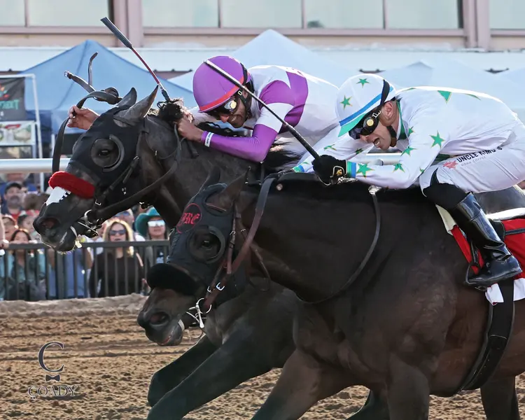 PAVLOVIAN - Sunland Park Derby - 21st Running - 02-15-26 - R09 - Sunland Park - Inside.jpg