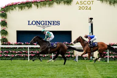 Porta Fortuna finds herself the one to beat in Falmouth