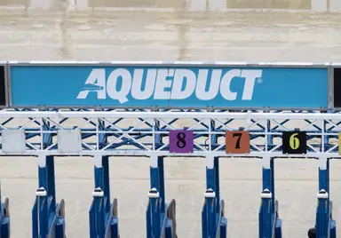 DRF's Horse Racing Playbook for Sunday, November 9, 2025