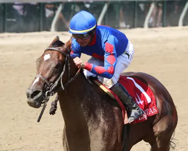 Lothenbach Stable's breeding stock, yearlings to be dispersed at Fasig-Tipton sales