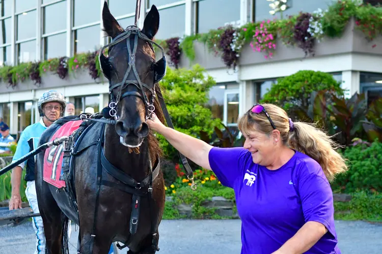 Anne Morgan_horse_Jessica Hallett.JPG