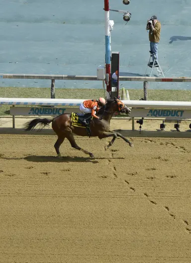 Rice off to red-hot start at spring meet as Yo Daddy takes Excelsior