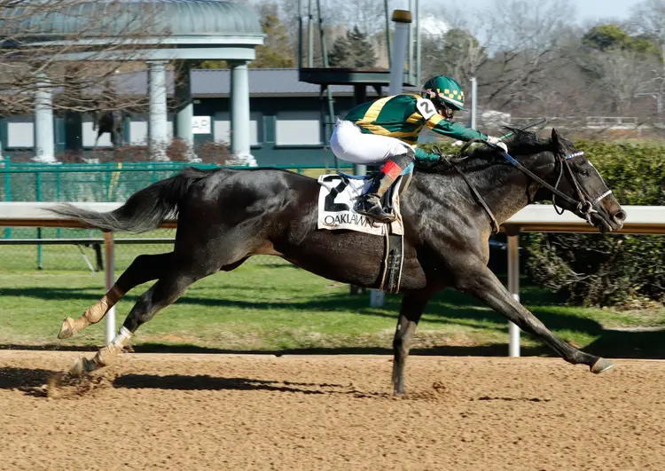 Common Defense wins maiden at OP Jan 13 2024