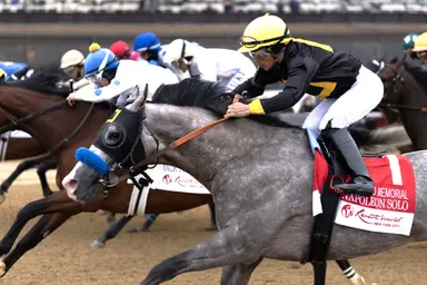 Preakness 2026: Napoleon Solo's blazing works earn him final two-turn shot