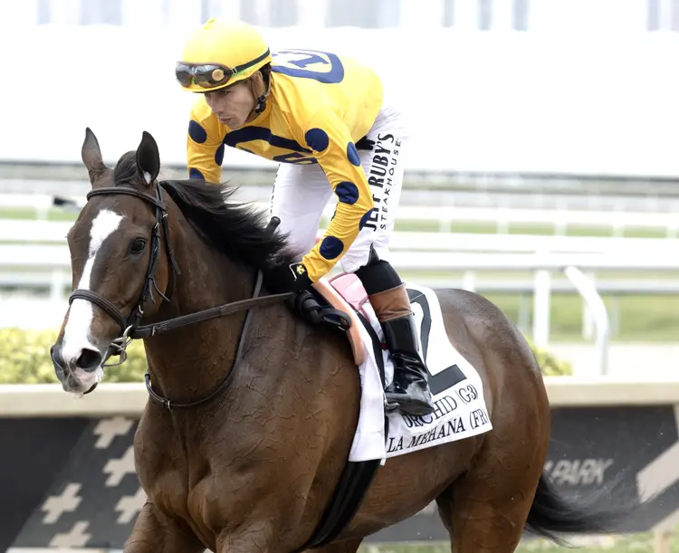 La Mehana (not winner) at GP March 29 2025