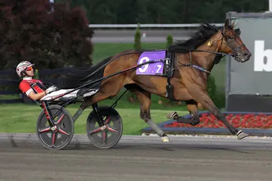 Yonkers: Bourbonista gets first MGM Yonkers International Trot invite