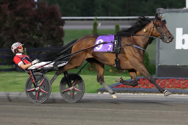 Bourbonista S 6-13-26