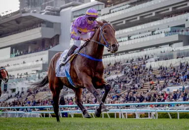 Road to the Derby: Little Paradise takes giant step forward in Four-Year-Old Classic Series