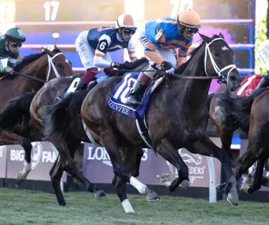 Unlucky Mentee returns from 16-month layoff