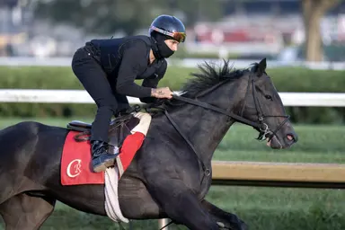 Ewing puts Knicks Go in public eye during Keeneland September sale