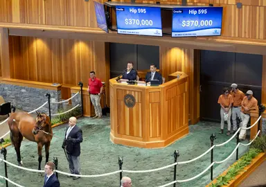 Klaravich, Brown grab sale-topping Quality Road colt at Fasig-Tipton New York-bred sale
