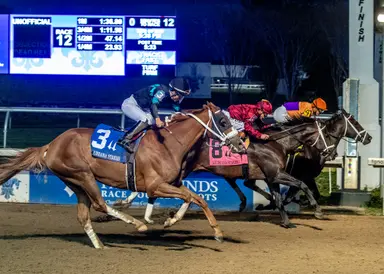 Accelerize becomes graded stakes winner with Louisiana