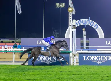 Rebel's Romance uses new tactics to return to form in Sheema Classic