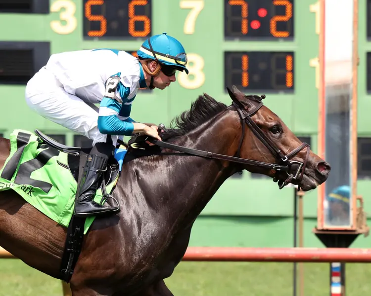 MAE TOWN - The Pea Patch - 07-06-25 - R08 - Ellis Park - Tight Finish 01 - Madison Becker.jpg