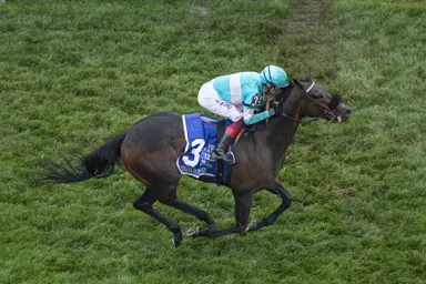 Brad Free's Del Mar Horses to Watch for week of July 25, 2024