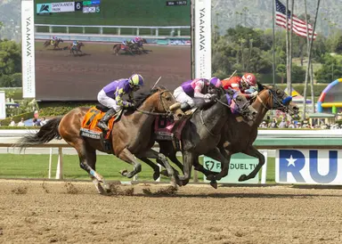 Practical Move pairs 100 Beyers; Skinner, Mandarin Hero need defections for Derby berths