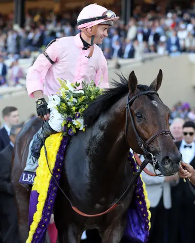 Sierra Leone follows in the hoofprints of sire Gun Runner