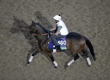 Breeders' Cup Saturday picks: How to bet on a $100 budget