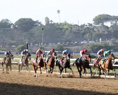 Betting handle on nine Saturday Breeders' Cup races up 6 percent from 2024