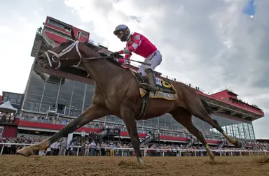 Rombauer to stand stud at War Horse Place in 2024