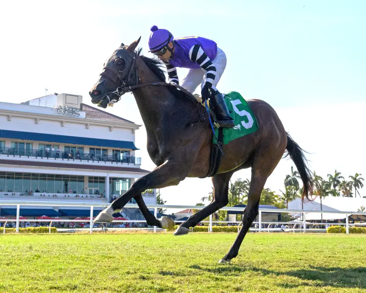 Bolero Bay wins English Channel at GP May 2 2026