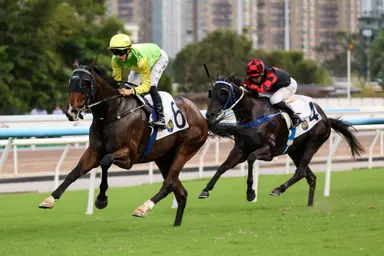 Fownes seeks revenge as Dancing Code faces Tomodachi Kokoroe rematch