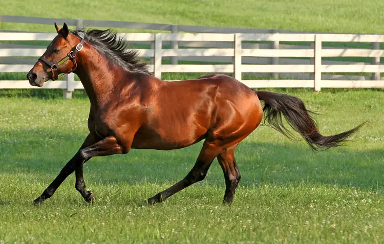 Gio Ponti02.6-27-14.BL_.jpg
