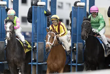 Dreaming of Julia's stellar run continues with Julia Shining
