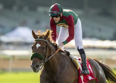 Grand Slam Smile ahead of the curve coming into Royal Heroine
