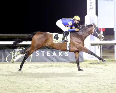 Literate runs away with Wintergreen Stakes