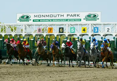 DRF's Horse Racing Playbook for Saturday, August 26, 2023