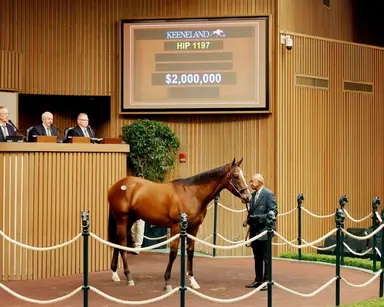 Keeneland September sale shatters record