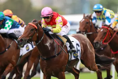 My Wish storms to Sha Tin Trophy glory as LONGINES HKIR credentials mount