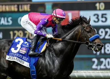 Breeders' Cup Mile: Johannes to stand at Claiborne in 2026