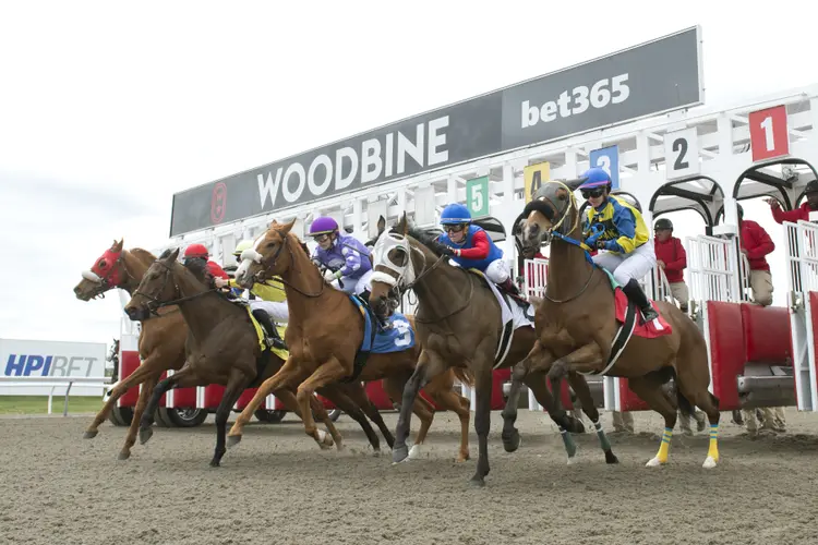 Woodbine scenic04.4.26.25.MB_.jpg