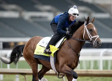 Journalism, runner-up in Kentucky Derby, will run in Preakness