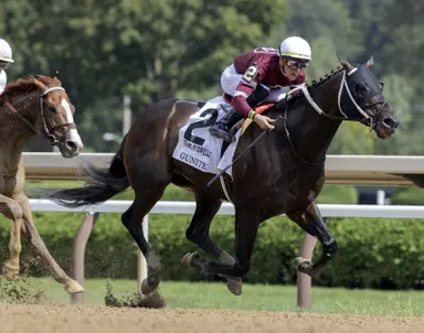 Gunite headlines first-crop weanling sires at fall sales