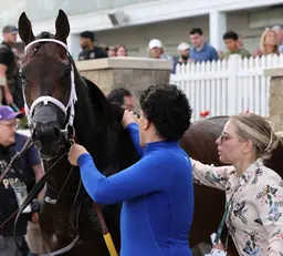 Navajo Warrior could log some miles en route to Saudi Cup