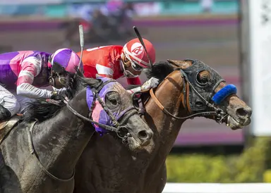 Yakteen pair of Practical Move, Reincarnate put in fast works for Kentucky Derby