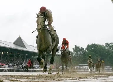 Australia: Parchment Party goes for longshot try at Melbourne Cup