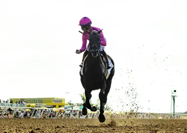 Midnight Mammoth hopes to rebound in Big Cap