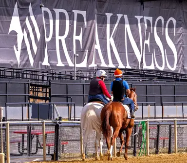 Preakness: Mage gets post 3, National Treasure should go for lead from rail