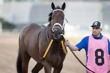 Joseph will add blinkers to Bravaro for Wood Memorial